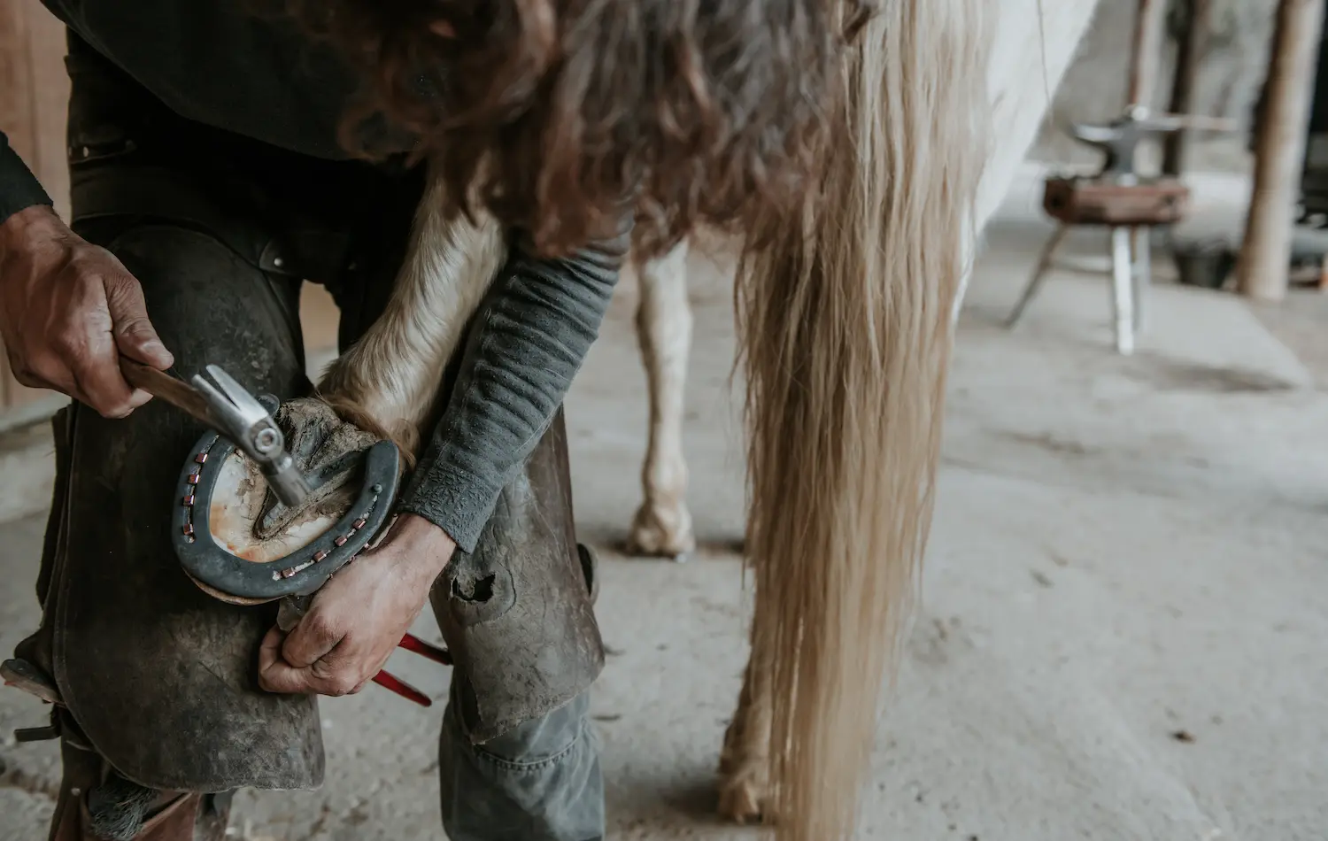 Hufpflege ist ein wichtiger Bestandteil der täglichen Routine der Pferdepflege